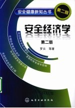 安全经济学