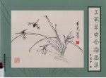 工笔草虫白描画集