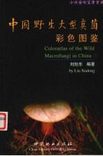 中国野生大型真菌彩色图鉴 小兴安岭宝贵资源 2