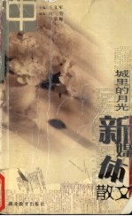 城里的月光 中部卷