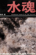 水魂 长篇报告文学