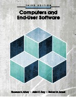 Computers and End-User Software Third Edition