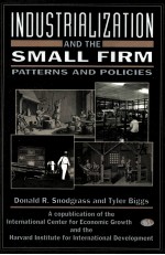 INDUSTRIALIZATION AND THE SMALL FIRM PATTERNS AND POLICIES