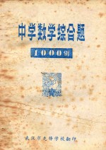 中学数学综合题一千例 下