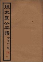 张文襄公年谱 下