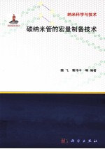 纳米科学技术大系 碳纳米管的宏量制备技术