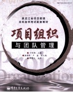 项目组织与团队管理