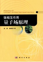 强相互作用量子场原理