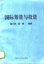 国际筹资与投资