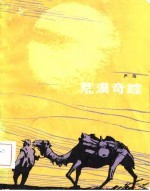 荒漠奇踪