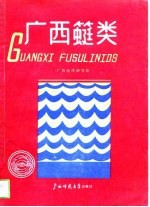 广西（竹蜓）类