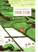 大学大批 大干大变 山东省农业学大寨典型选编