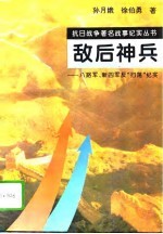 敌后神兵 八路军、新四军反“扫荡”纪实