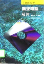 商业电脑实务