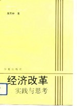 经济改革实践与思考