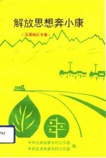 解放思想奔小康 玉溪地区专辑