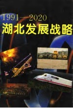 1991-2020湖北发展战略