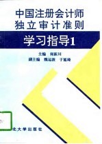 中国注册会计师独立审计准则学习指导 1