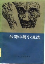 台湾中篇小说选