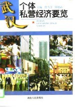 武汉个体私营经济要览