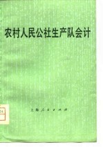 农村人民公社生产大队会计