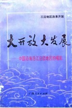 大开放大发展 中国沿海沿江沿边地区的崛起