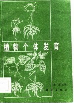 植物个体发育
