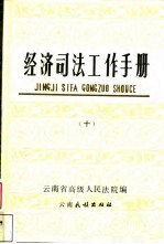 经济司法工作手册 10