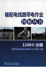 输配电线路带电作业图解丛书 110kV分册