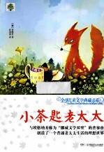 全球儿童文学典藏书系 小茶匙老太太 升级版
