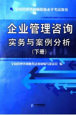 企业管理咨询实务与案例分析 下