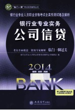 银行业专业人员职业资格考试全真预测试卷及解析银行业专业实务 公司信贷