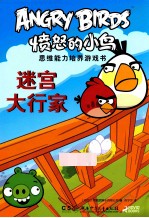 愤怒的小鸟思维能力培养游戏书 迷宫大行家