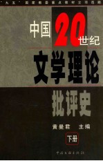 中国20世纪文学理论批评史 下