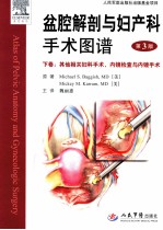 盆腔解剖与妇产科手术图谱 下 其他相关妇科手术 内镜检查与内镜手术 第3版