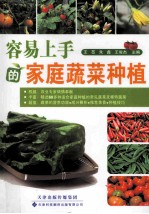 容易上手的家庭蔬菜种植