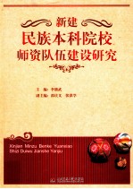 新建民族本科院校师资队伍建设研究