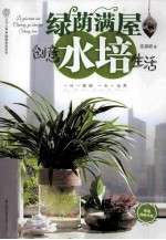 绿荫满屋创意水培生活