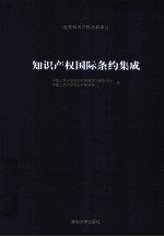 知识产权国际条约集成