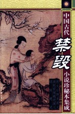 中国古代禁毁小说珍秘本集成 西太后艳史演义、洪宪宫闱艳史演义、昭阳艳史