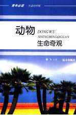 动物生命奇观