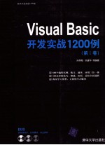 Visual Basic开发实战1200例 第1卷