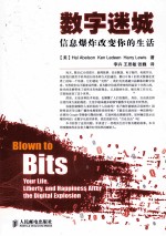 数字迷城 信息爆炸改变你的生活