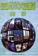 中外8000大中城市概况 下
