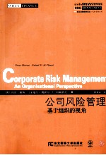 公司风险管理 基于组织的视角
