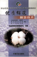 优质棉花栽培技术