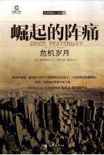 崛起的阵痛 危机岁月