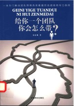 给你一个团队 你会怎么带？