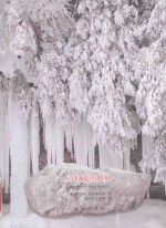 对权威的服从 一次逼近人性真相的心理学实验