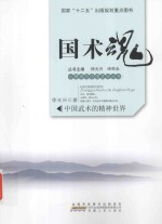 国术魂 中国武术的精神世界